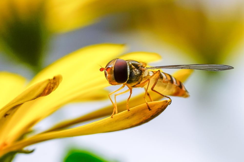 Фотография автора Patricia Machado
