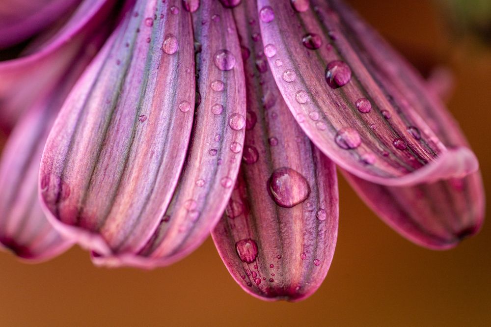 Фотография автора Patricia Machado