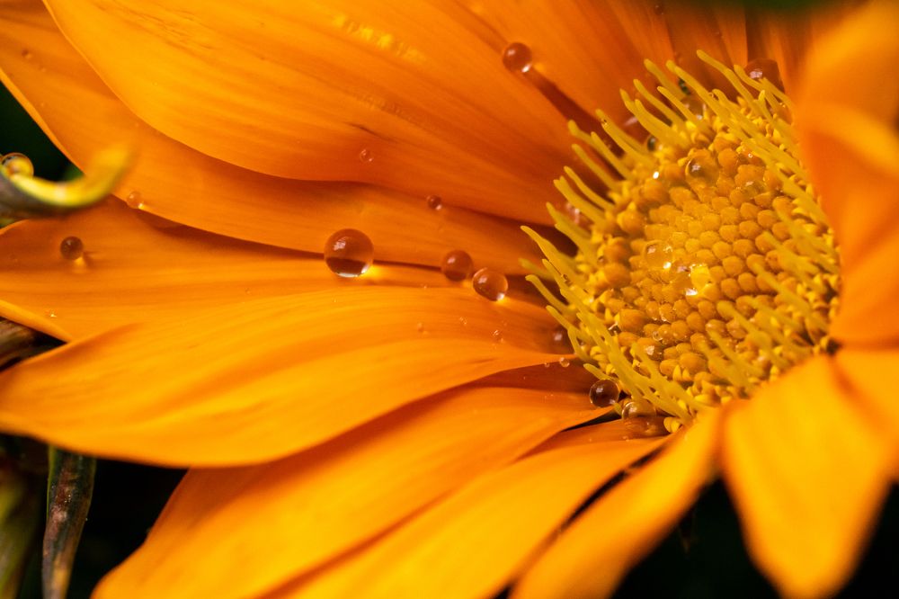 Фотография автора Patricia Machado