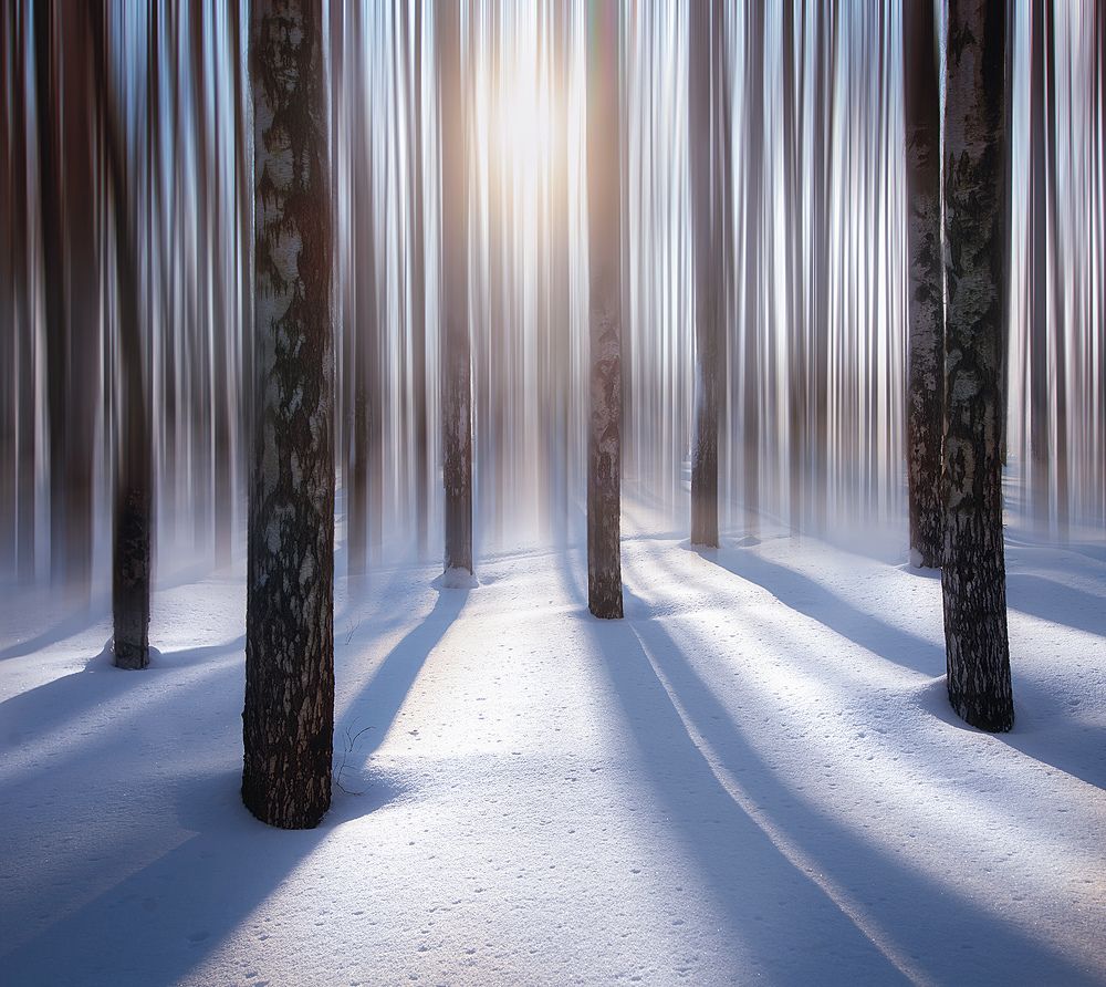Фотография автора Денис Макаренко