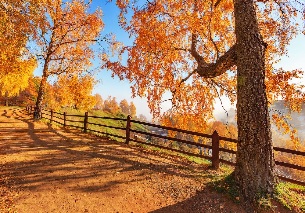 Photograph by Владимир Липецких