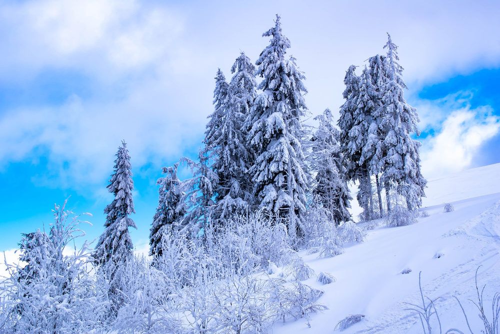 Photograph by Диана Бородзе