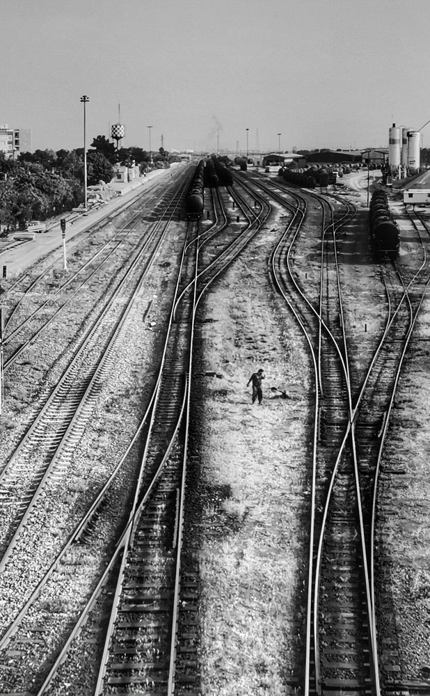 Фотография автора Milad Falahi