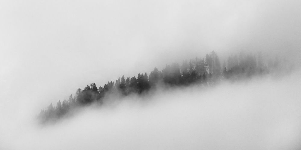 Фотография автора Василий Рябовол