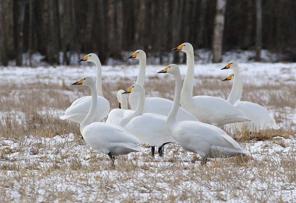 Photograph by Ирина Волкова