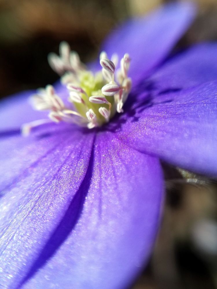 Photograph by Krystyna