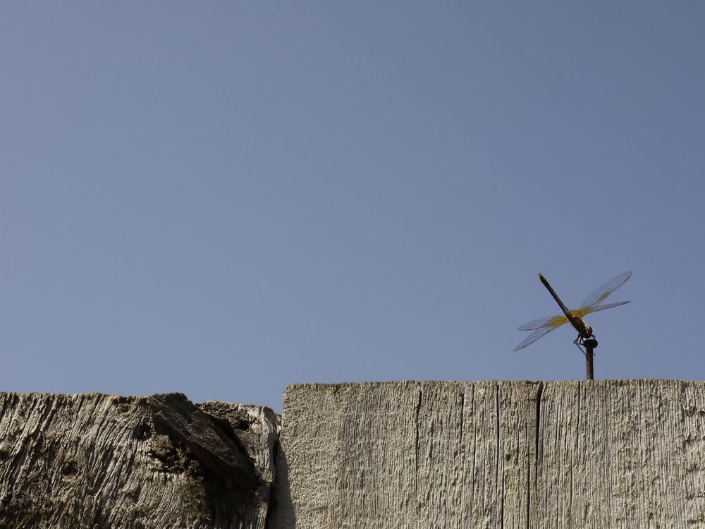 Photograph by Игорь Кутний