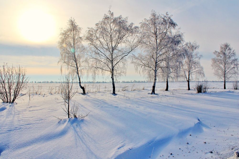 Photograph by Анна Восковых
