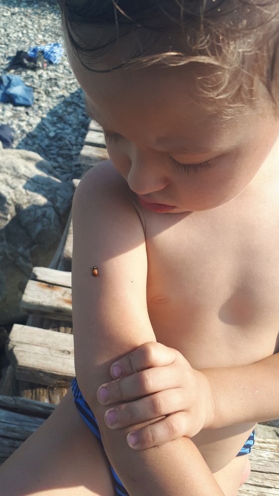 Photograph by Оксана Ходжаева