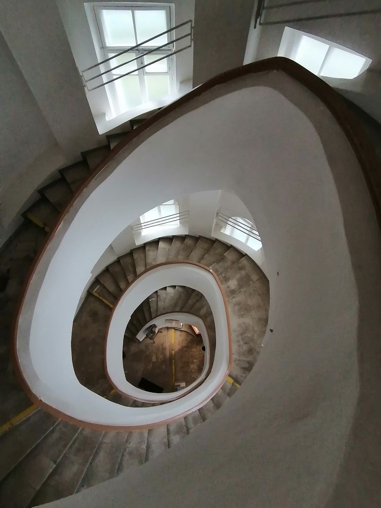 Photo #7277601