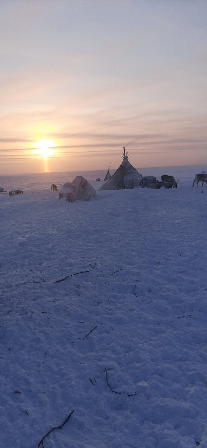 Photo #7277604