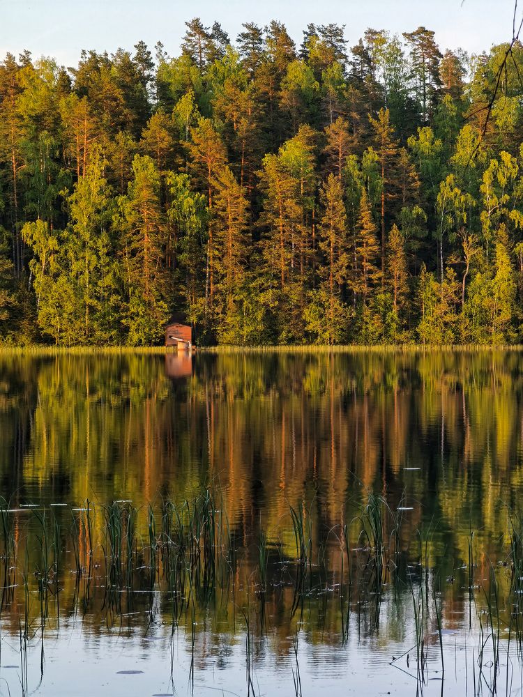 Photograph by Александр Державин