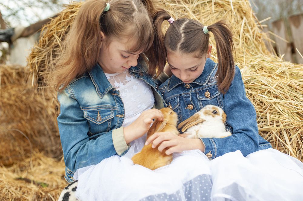 Photograph by Елена Славинская