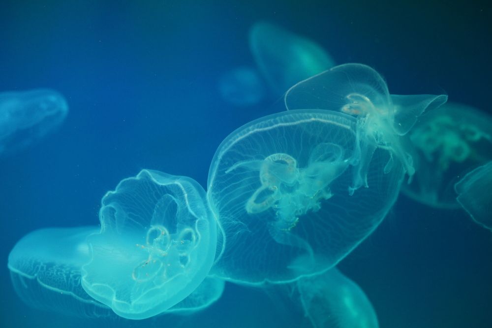 Photograph by Галина