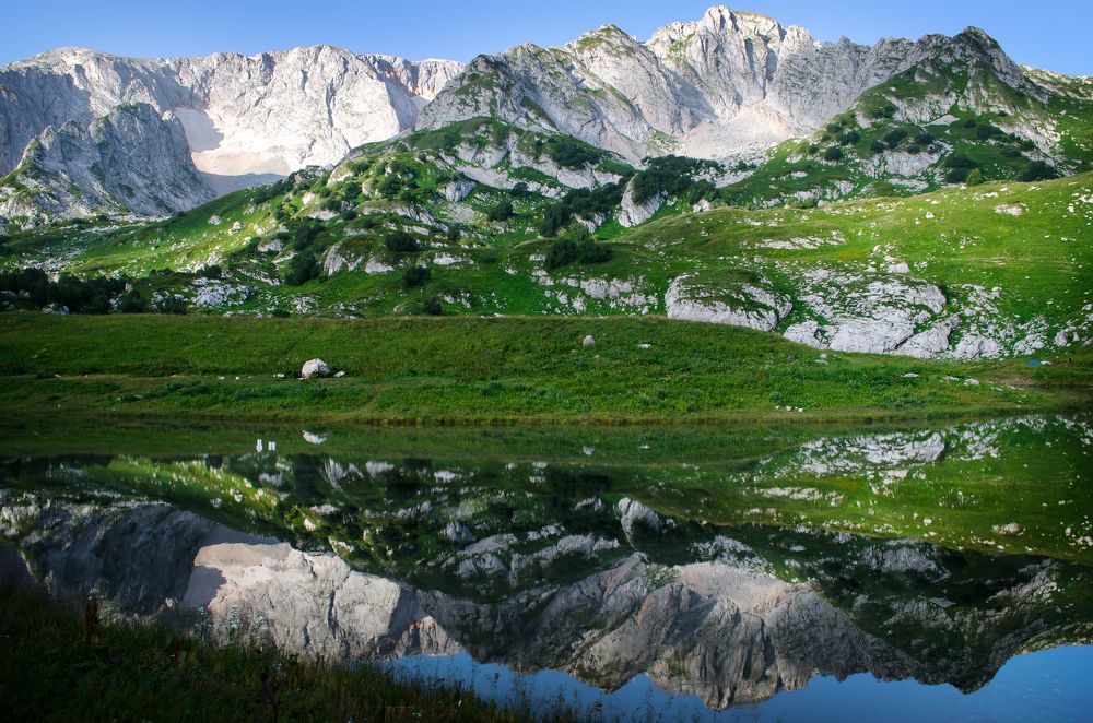 О. Псенодах