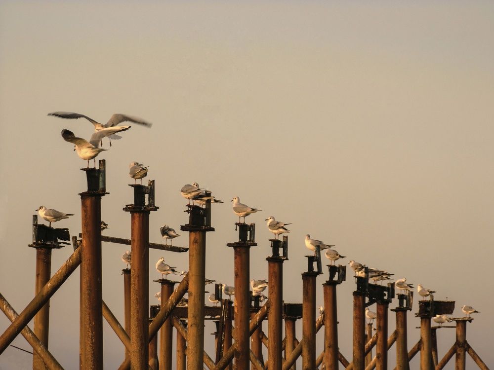 Photograph by Hadis Golpour