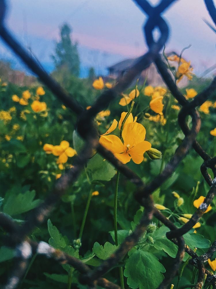 Photograph by Элина Кагерманова