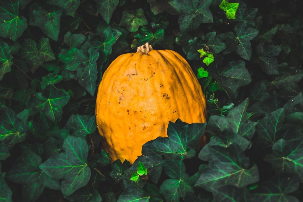 Photograph by Zana Hrkac