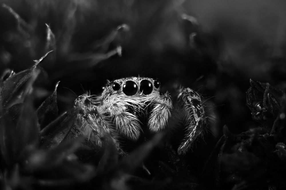 Photograph by Юрьевич Юрий