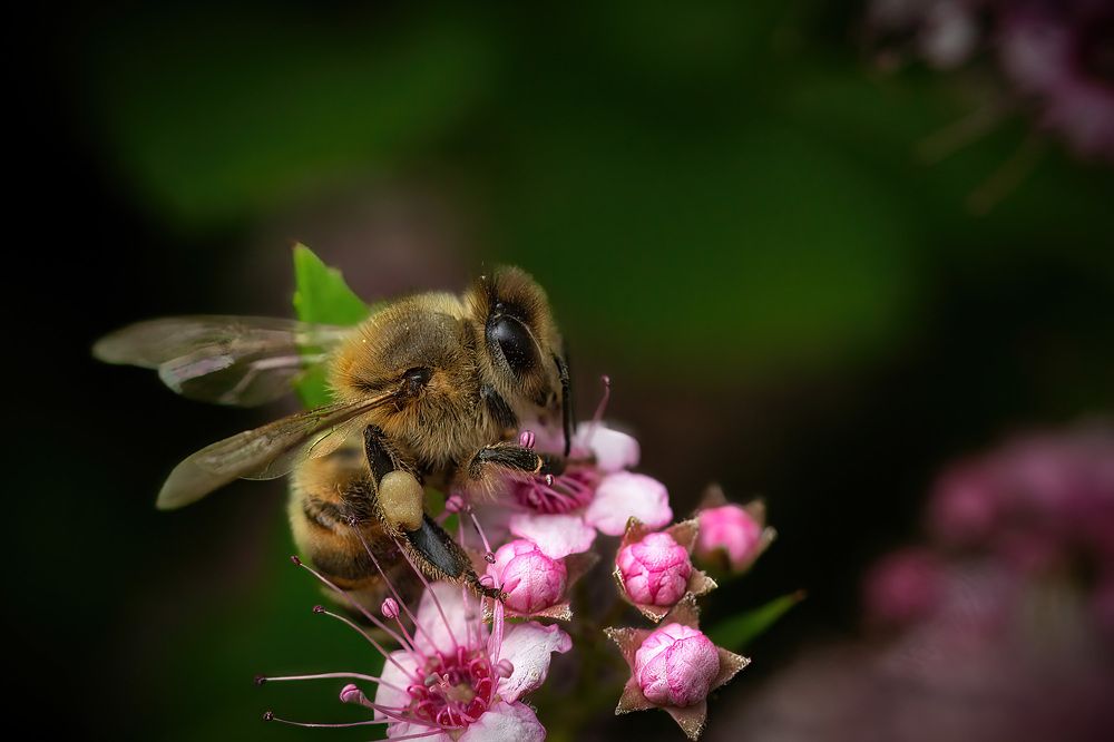 Photograph by Сергей Пискарёв
