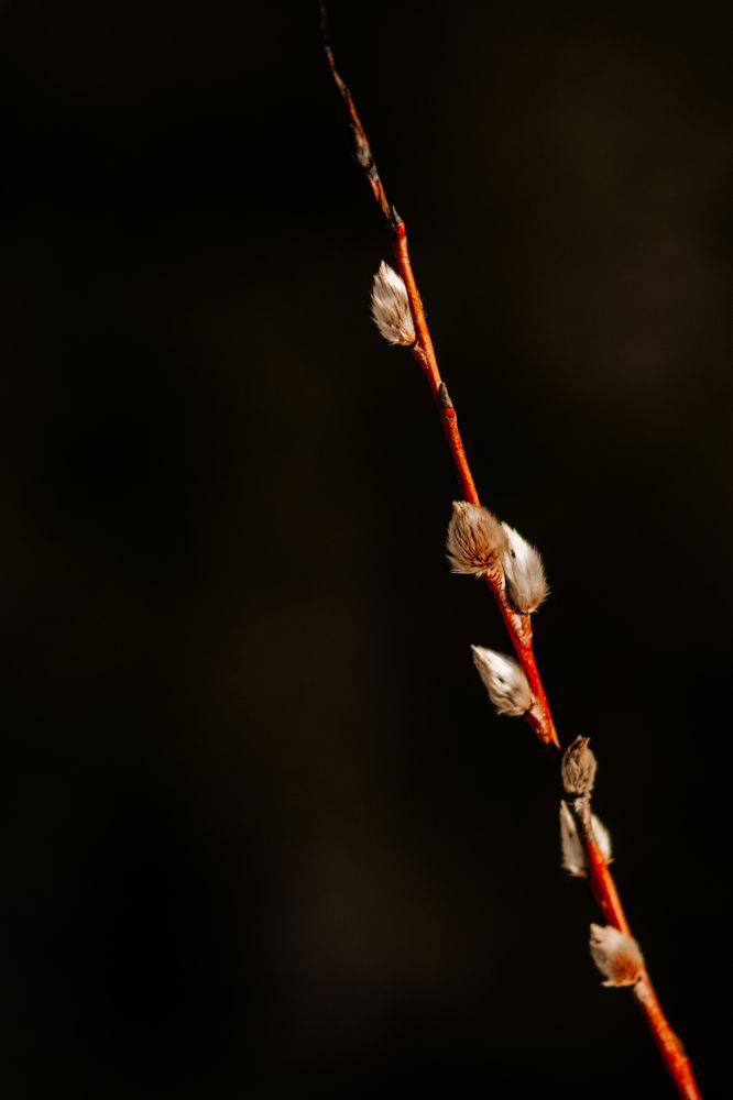 Photograph by Liudmila Kirillova