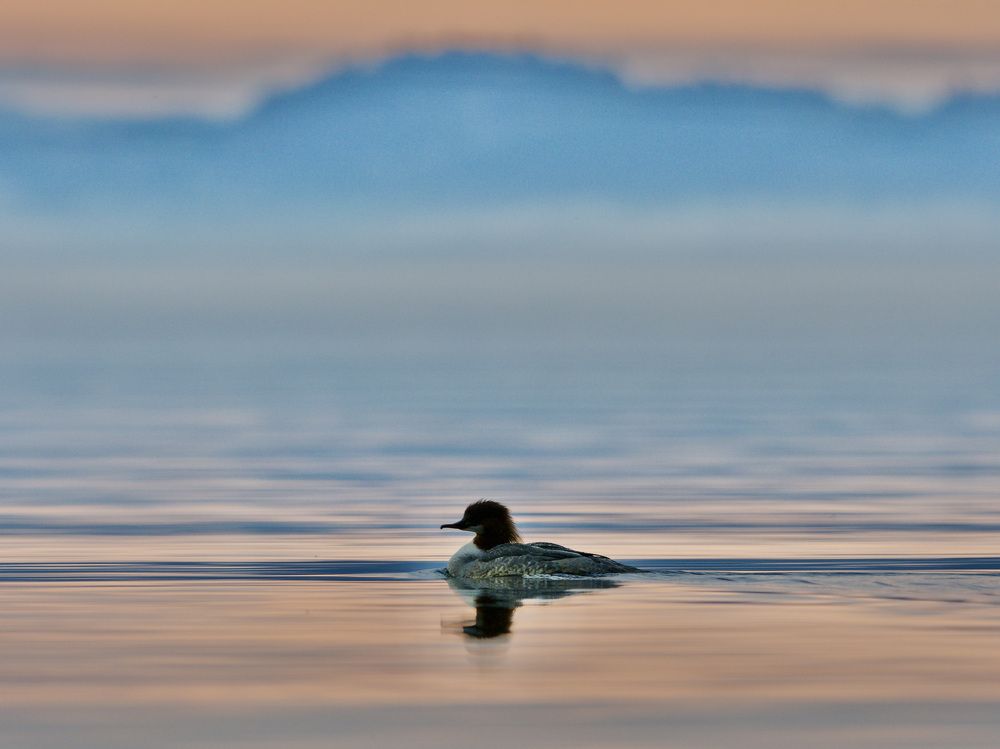 Same same but different!