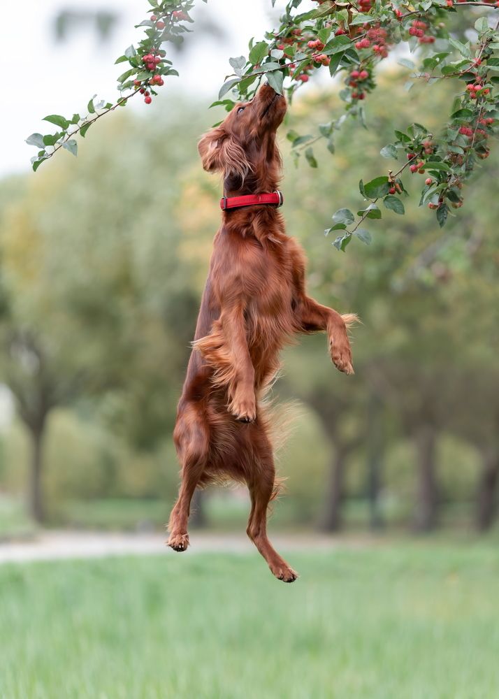 Photograph by Ирина Недикова