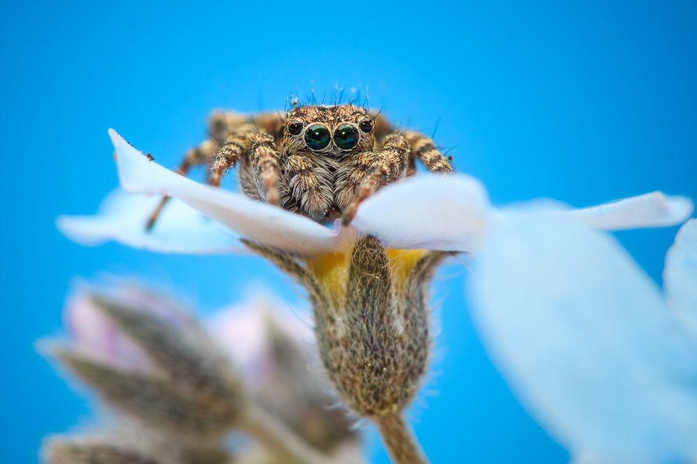 Photograph by Irina Larkina