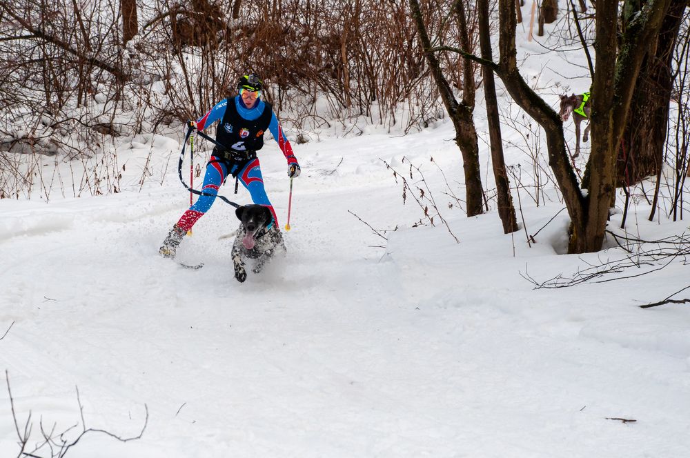 Фотография автора Екатерина Кожевникова