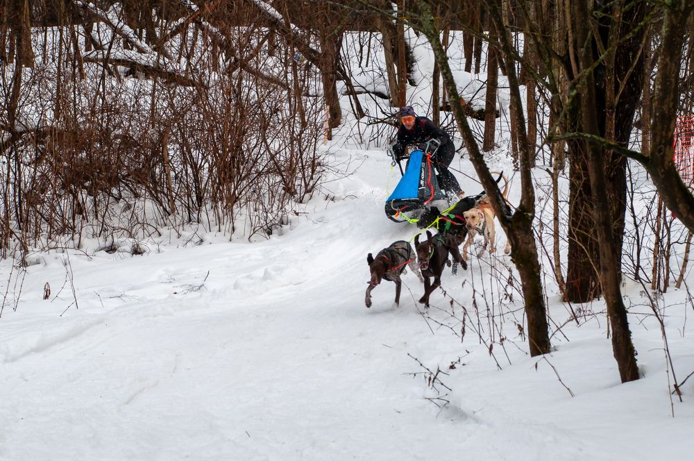 Фотография автора Екатерина Кожевникова