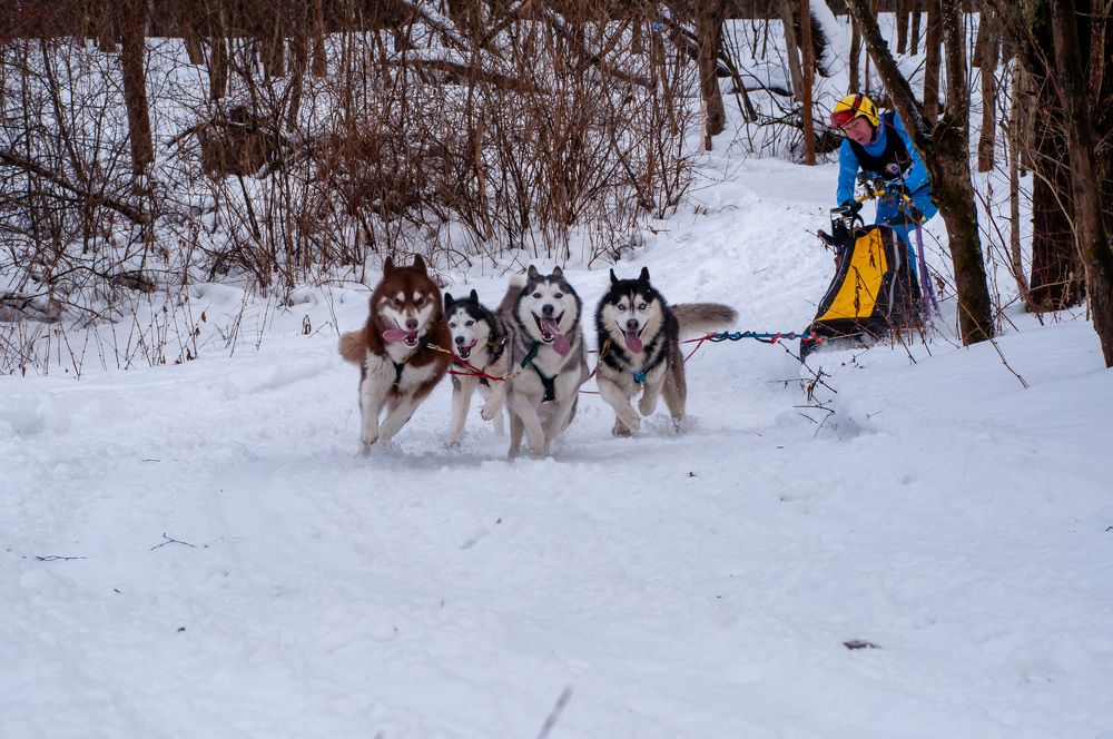 Фотография автора Екатерина Кожевникова