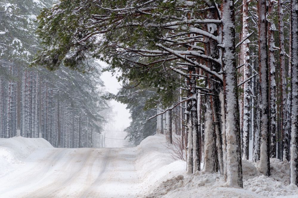 Фотография автора Екатерина Кожевникова