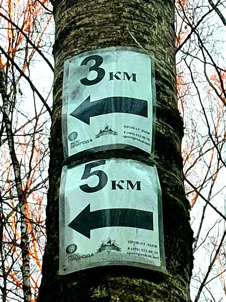 Photograph by Ева К.