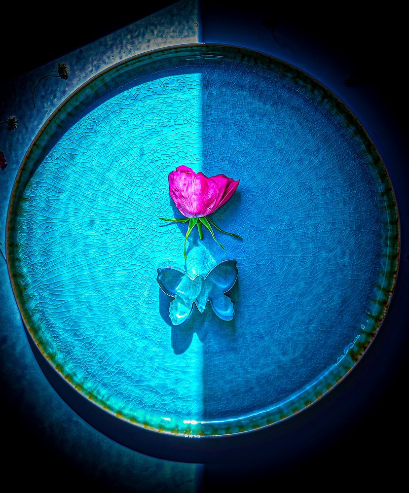 Фотография автора Дмитрий Лебедь