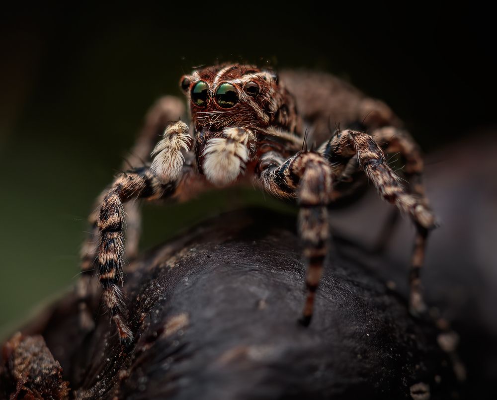 Photograph by Valdir Hobus