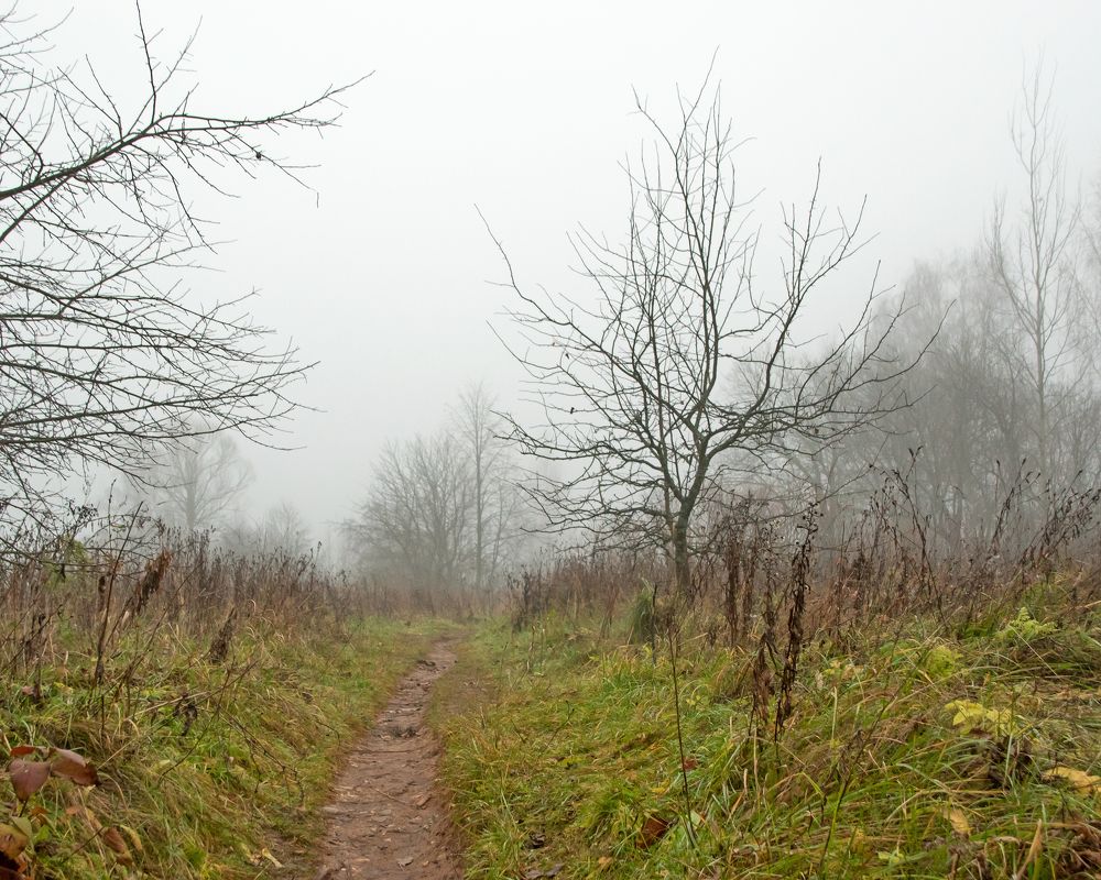 Тропинка в осень.