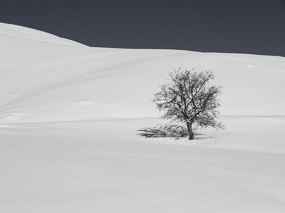 Photograph by Mohammadzaher Mohyadini