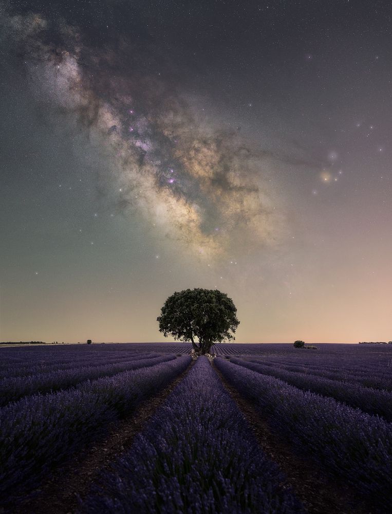 Photograph by Juan Yelin