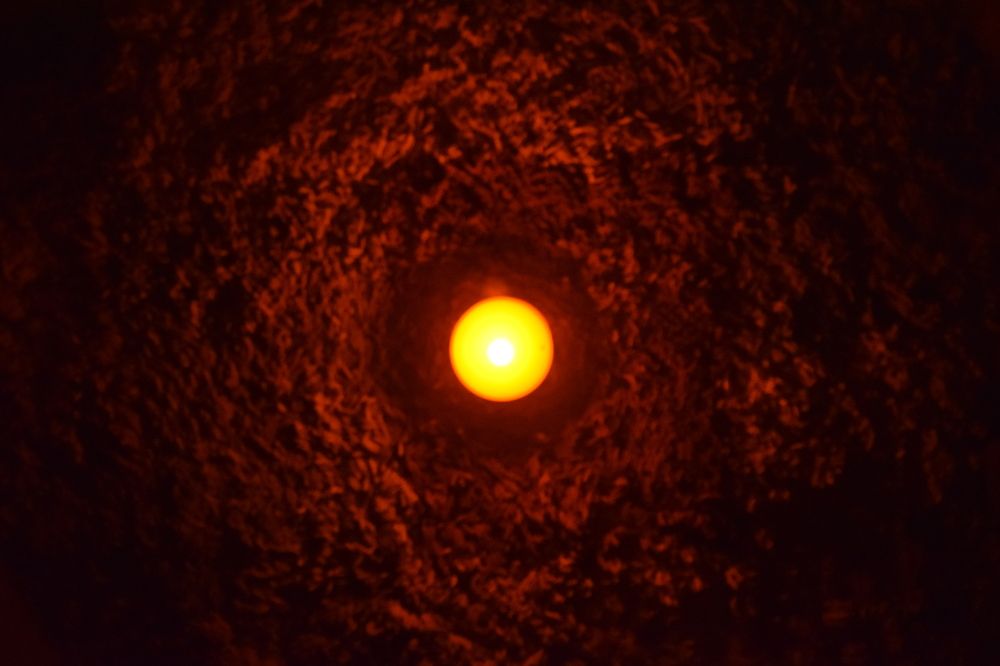 Photograph by Светлана