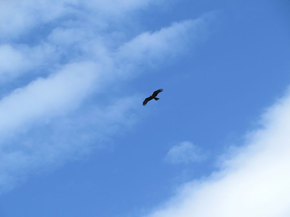 Photograph by Елена Лапина