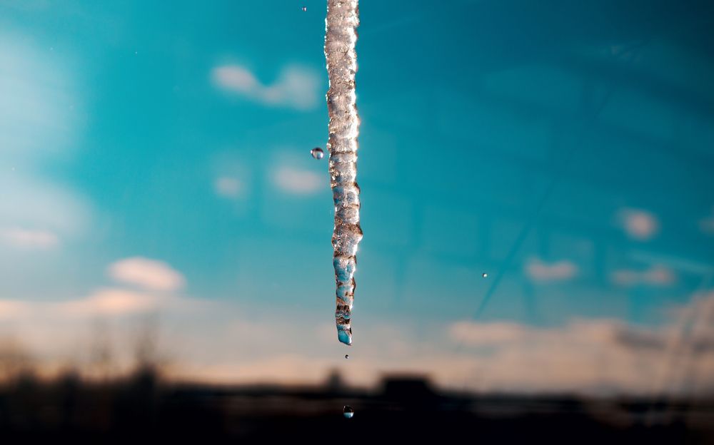 Photograph by Александр Быдрицкий