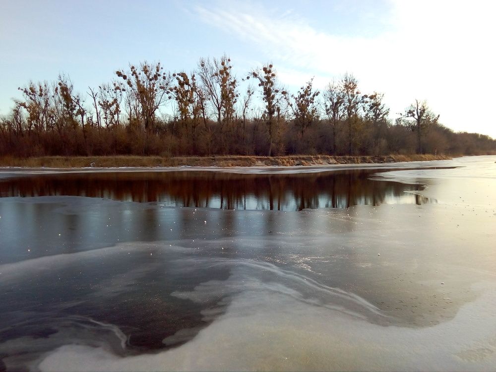 Photo #7278473