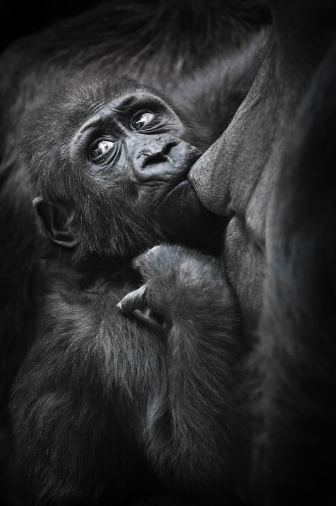 Photograph by Михаил Семенов