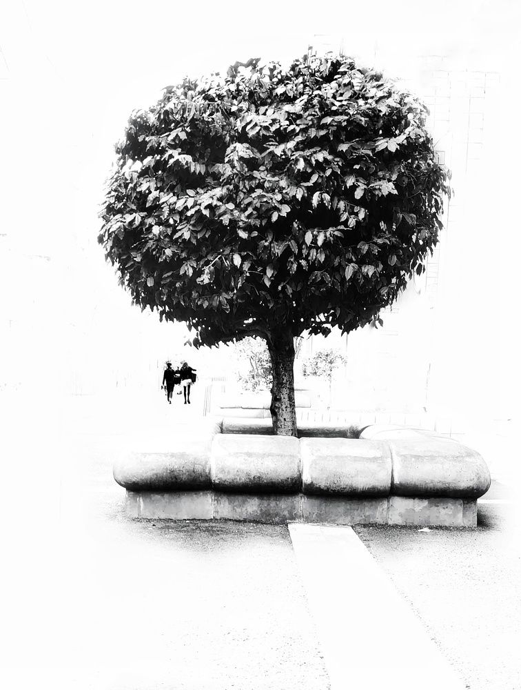 Фотография автора Toma Bervetsky