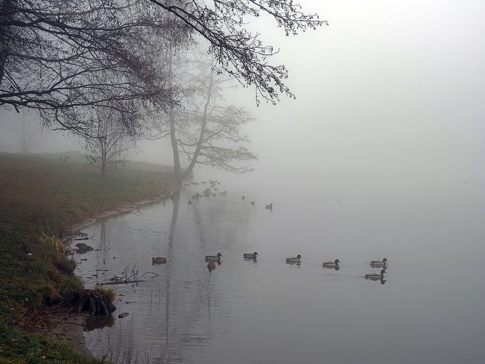 Photograph by Сергей Духанин