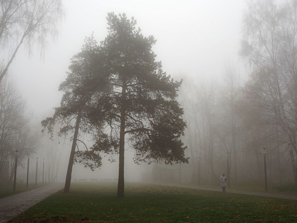 парк Кузьминки