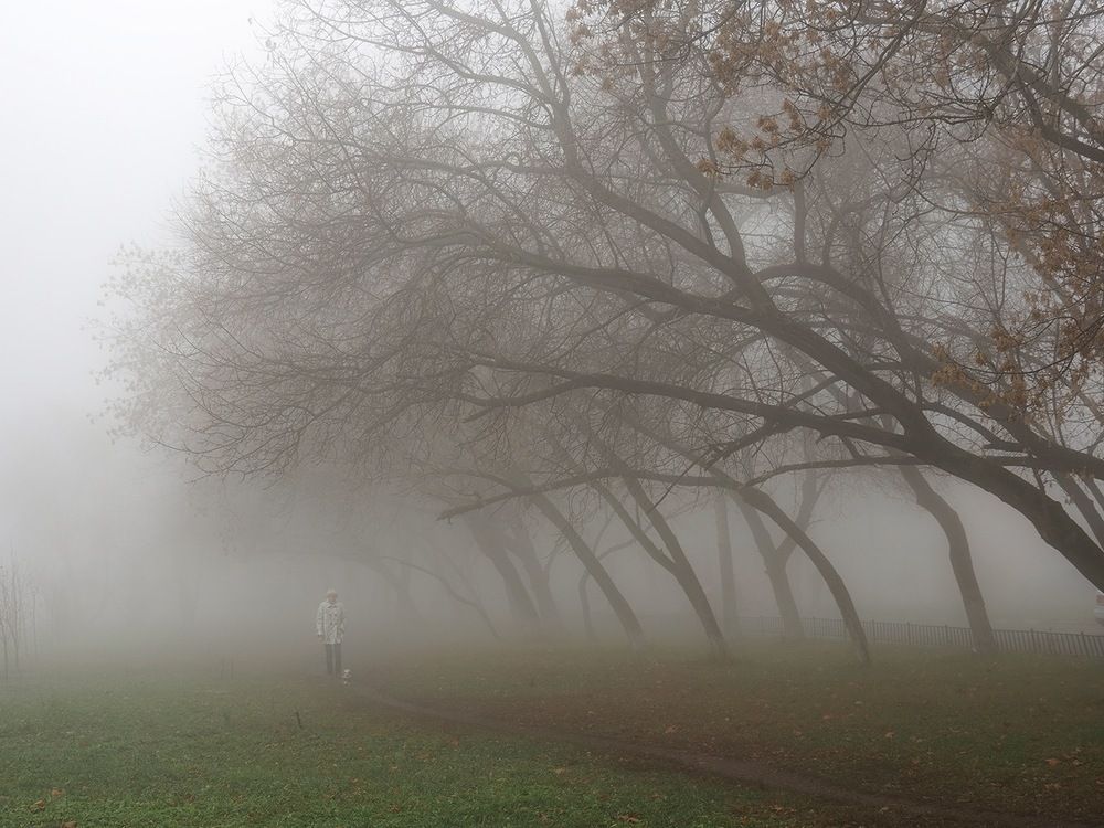 Photograph by Сергей Духанин