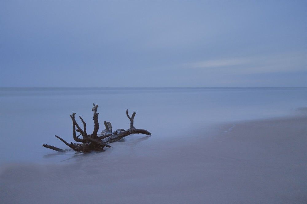 Photograph by Jānis Sērdienis