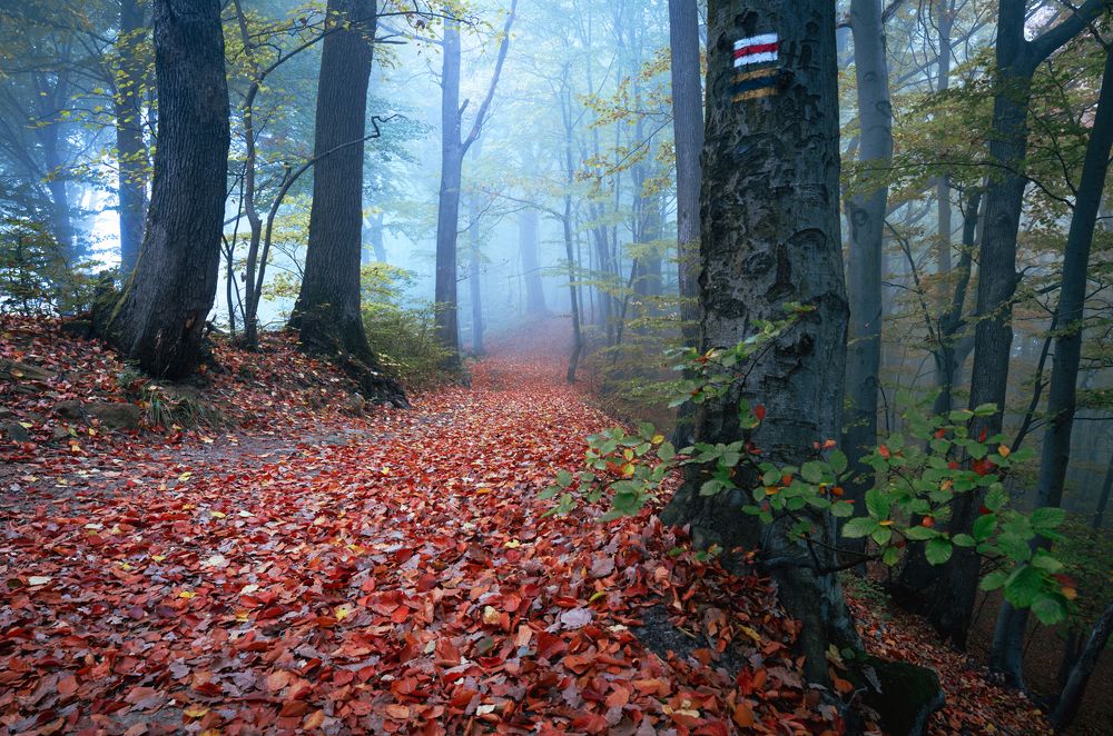Photograph by Mirosław Pruchnicki
