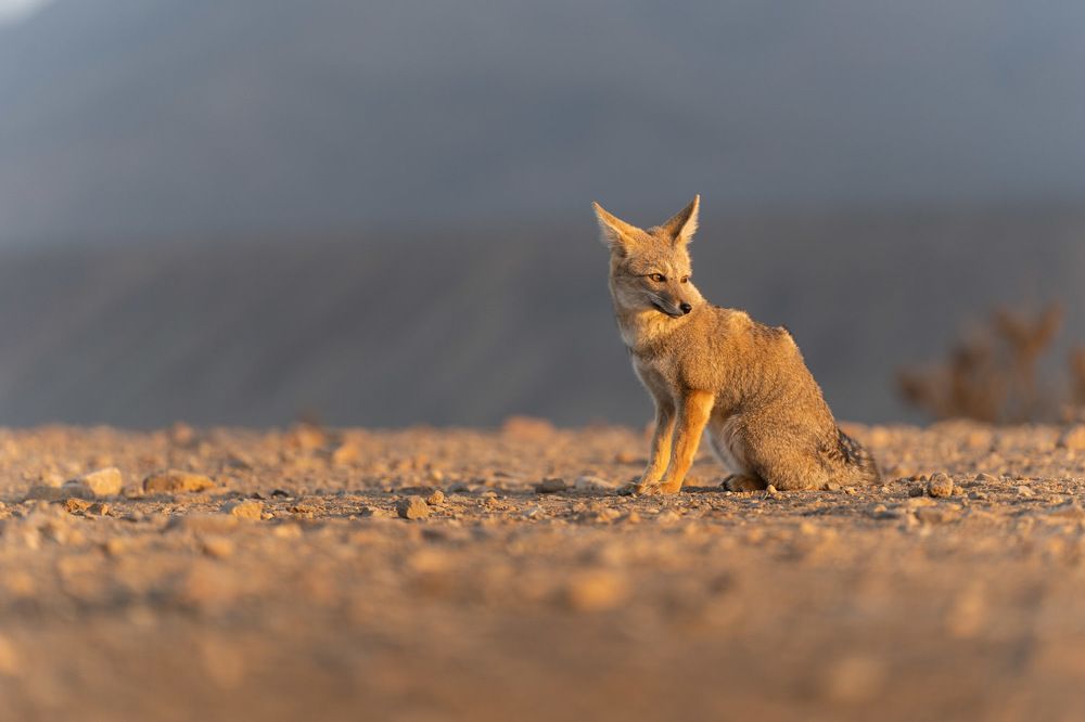 Photograph by Cifuentes Alejandro